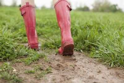 Hoe Te Repareren Van Een Modderige Grasveld Wikisailor Com