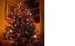 Hoe te zetten van de lichten op een kunstmatige kerstboom