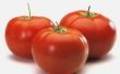 Beïnvloedt de hoeveelheid zonlicht die een tomatenplant ontvangt de grootte van de tomaten?