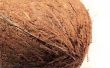 Het gebruik van kokos vezel voor opplant