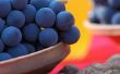 Rode wijnen gemaakt van Concord druiven