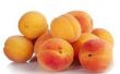 Hoe te snoeien abrikoos fruitbomen