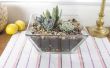 How to Plant vetplanten in Containers