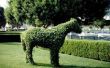 Hoe maak je dierlijke Topiary draadframes