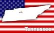 Opzoeken van een Tennessee State nummerplaataantal