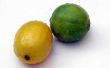 Hoe te bevriezen van citroenen & Limes