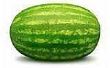 How to Grow watermeloenen uit zaad