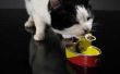 Is zout in Cat Food goed of slecht?