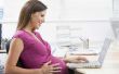 Wat is de zwangerschap Discrimination Act?