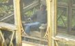 DIY: Bijvoeging van een veranda Screen