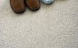 Hoe om te controleren op vlooien op een tapijt