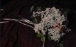 Hoe maak je een bruiloft boeket met zijden bloemen