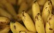 Hoe bananen om vers te houden langer
