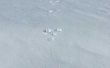 Hoe te identificeren van dierlijke sporen in de sneeuw