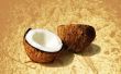 Verschillen tussen biologische kokosolie & Extra vierge biologische kokosolie
