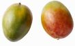 Wat te doen als een Mango Tree doet niet produceren Fruit