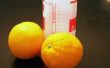 Hoe om te doden van de vlooien met sinaasappelen