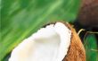Het gebruik van ongeraffineerde kokosolie ter voorkoming van vroegtijdige veroudering
