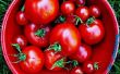 Zelfgemaakte tomaat plantaardige voedsel