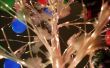 How to Make veiligheidsspeld en kraal kerstbomen