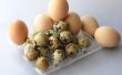 Hoe Vervang eieren in pannenkoeken