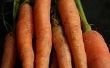 Gezondheidsvoordelen van wortelen
