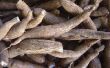 How to Cook Yucca Root