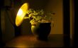 Goedkope manier om het maken van een licht groeien voor kamerplanten