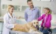 CV doelstellingen voor een veterinaire technicus