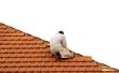 How to Get financiële hulp voor dak reparaties