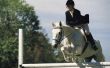 Paardrijden Games om te spelen Online