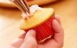 Hoe te Versier Cupcakes met behulp van een decorateur met Tips