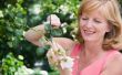 Hoe te snoeien Asters, Salvia en andere bloeiende planten