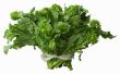 How to Cook Rapini