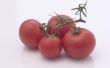 Wat maakt tomaten melig?