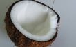 Hoe te te nemen ruwe kokosolie
