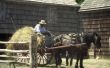 Rituelen in de Amish stadia van het leven