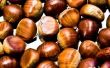 Hoe Oven-geroosterde noten in de Shell