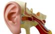 Verschil tussen binnenoor & midden oorontsteking