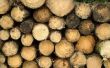 Het behouden van onbehandeld hout biologisch