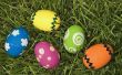 Hoe te organiseren een Easter Egg Hunt
