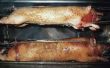 How to Cook een Boston Butt varkensrollade op een Rotisserie