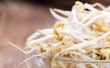 Mung Bean Sprouts voeding