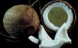 Wat betekent het als een kokosnoot ruikt aan Alcohol?