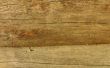 Plafond ideeën voor ruw gesneden hout