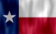 Aantal vertegenwoordigers van Texas