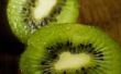 Gebruik van Kiwi Fruit