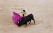 Wat soort van stieren worden gebruikt in Spaanse stier vecht?