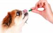 Doxycycline medicatie voor honden