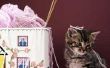 Hoe schoon gedroogd Cat Urine geuren uit een deken
